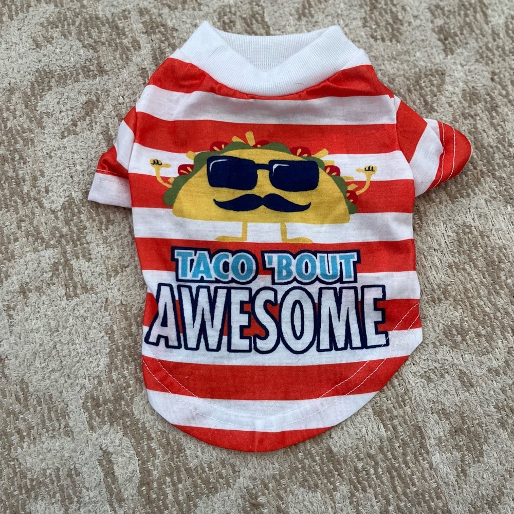 Pet cat/dog T- shirt “Taco ‘bout awesome” XS used in great condition.